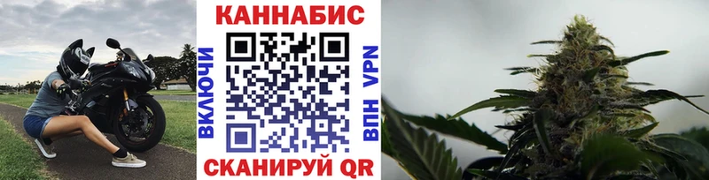 продажа наркотиков  shop какой сайт  Каннабис тримм  Гай 